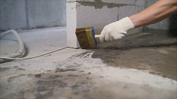 SJ Waterproofing Pros Waterproofing coverage map for Grand Haven, MI and surrounding area